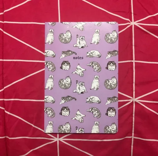 Caderno Reputation Meredith Olívia Taylor Swift