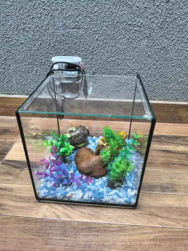 Aquário decorado e com bombinha