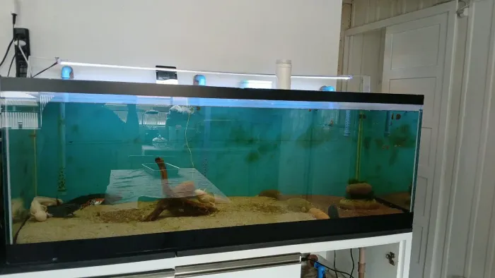 Aquário 500 litros