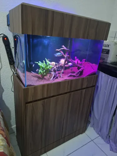 Vendo aquario 108 litros e movel. Medidas 80x35x40