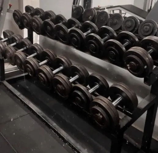 Par de Dumbbells + suporte