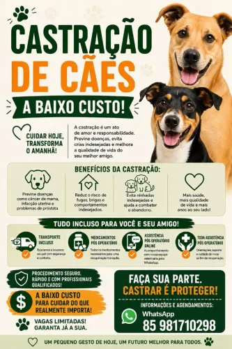 Castração baixo custo 