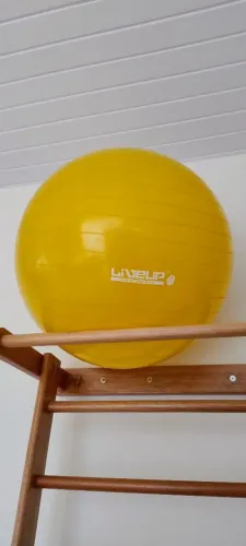 Bola Pilates 