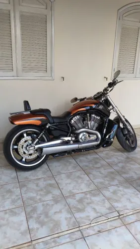 Vrod Muscle Edição Especial