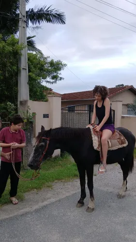 Cavalo