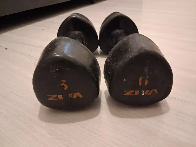 2 halteres 6kg cada
