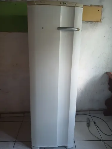 Freezer vertical