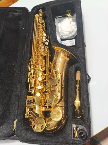 Vendo ? saxofone soprano alto Michael 