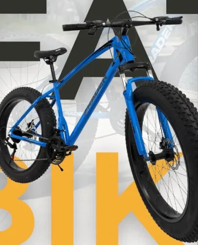 Fat bike
