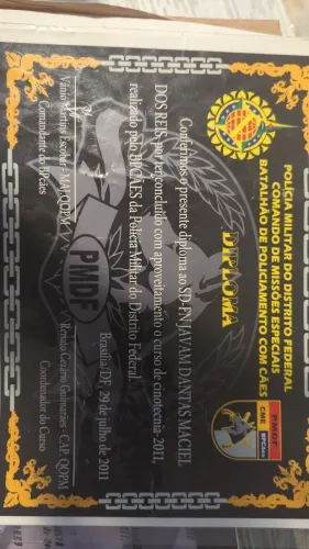 ADESTRADOR PROFISSIONAL 17 ANOS DE EXPERIÊNCIA 
