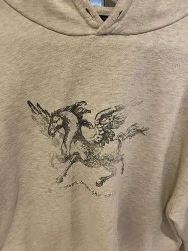 Blusa Zara pegasus tamanho G com touca pouco uso cinza claro
