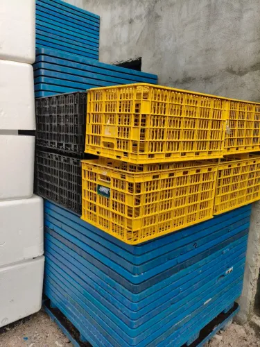 Caixas organizadora..