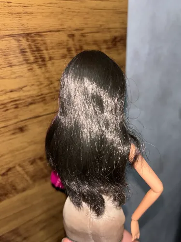 Raquelle - Barbie Fashionistas subcoleção Pet Shop