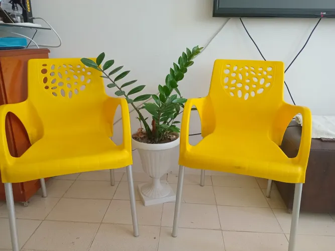02 Poltronas amarelas