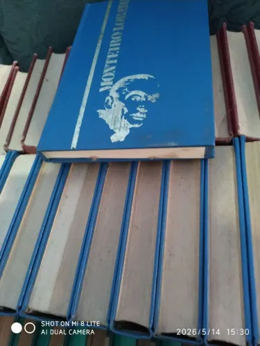 Livros de Monteiro Lobato adulto preço por unidade