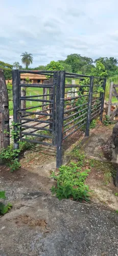 Vendo gaiola de ferro pra vacinar animais