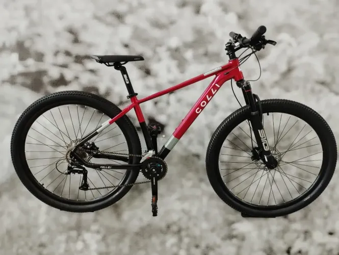 Bicicleta aro 29