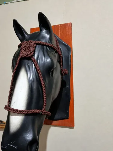 Buçal crioulo