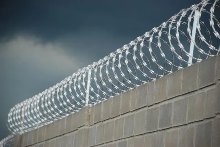 Concertinas cerca de muro auto cortante galvalume