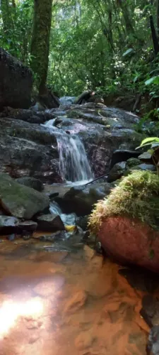 Lindo sítio em rancho queimado