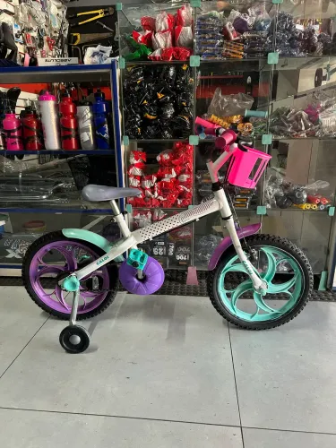 Bicicleta Infantil Caloi Ceci