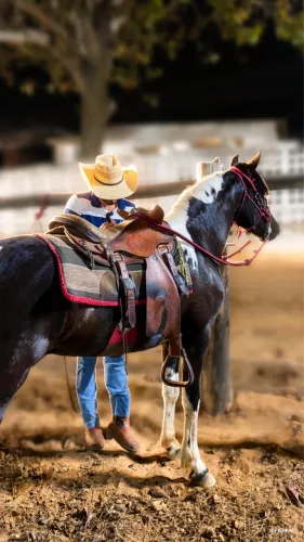 Vendo cavalo homozigoto com documento
