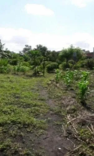 Terreno em Guarulhos