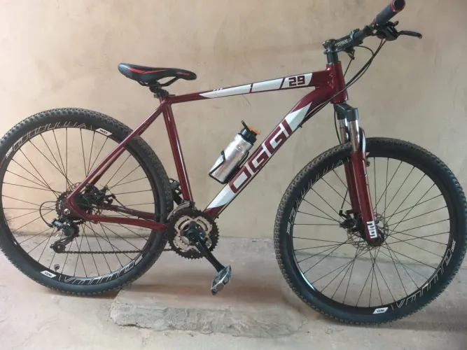 Vendo bike Oggi 29