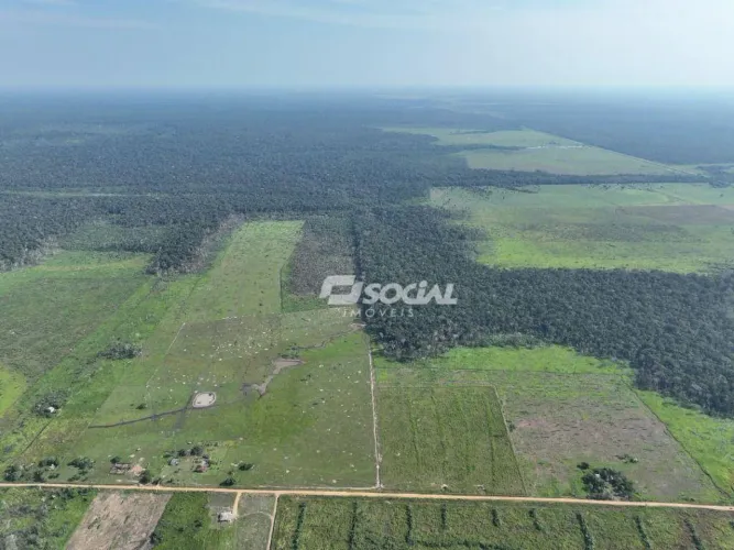 Fazenda à venda, com 90 Ha em pasto por R$ 2.600.000 - Zona Rural - Porto Velho/RO
