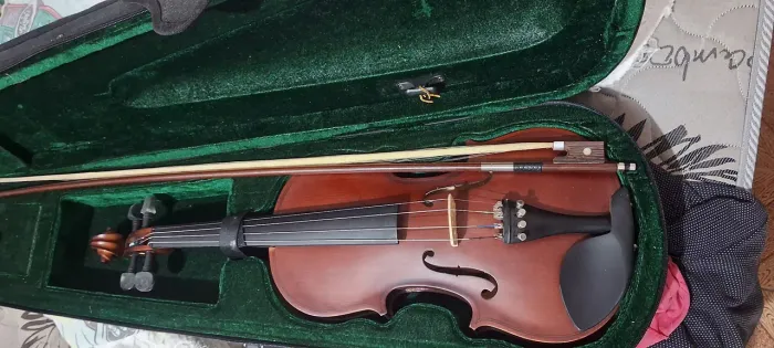 Violino