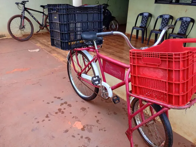 Bicicleta cargueira 