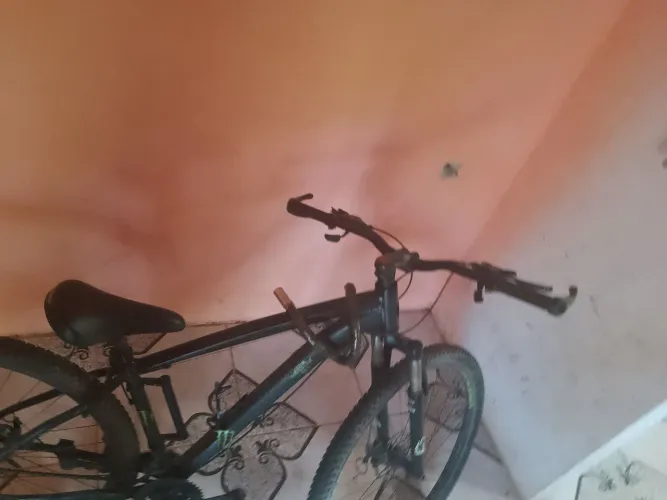 Bike Aro 29
