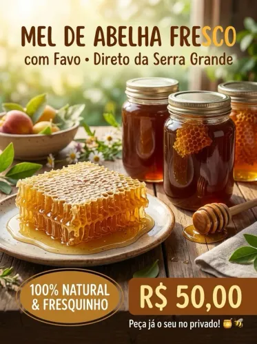 Mel de Abelha Fresco - Com Favo