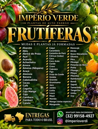 Mudas de Frutas