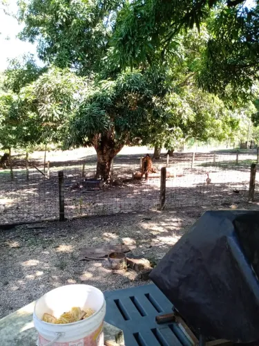 Sítio no Recanto das Mangueiras 