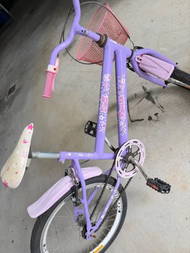 Bicicleta Infantil Feminina 