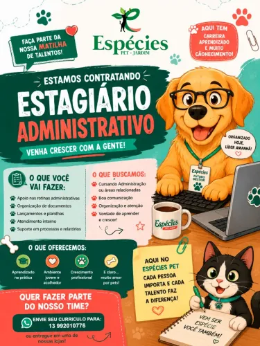 ESTAGIO ADMINISTRATIVO
