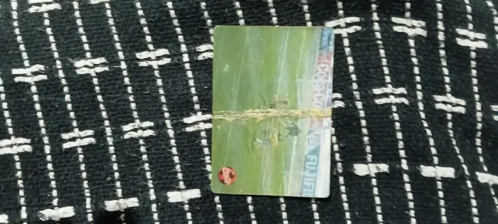 Cards da Coca-cola de 97
