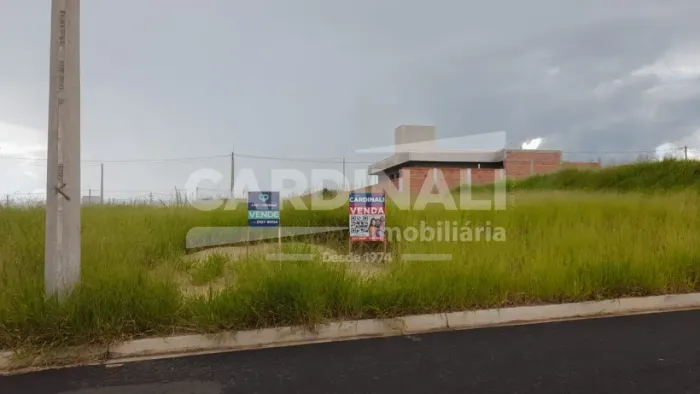 Terreno Padrão em São Carlos