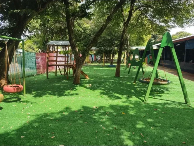 Grama sintética Decorativa