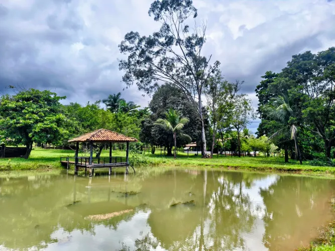 Fazenda Top 10 Alqueires