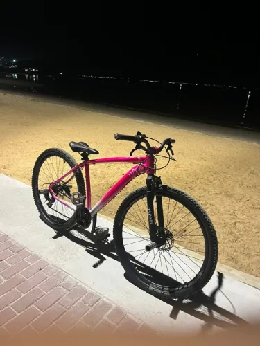Bicicleta aro 29 personalizada
