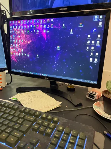 Monitor 22