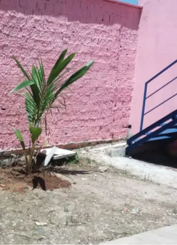 Kitnet estilo apto todo dividido - Aguas Brancas ao lado do IDEAL LIBERDADE