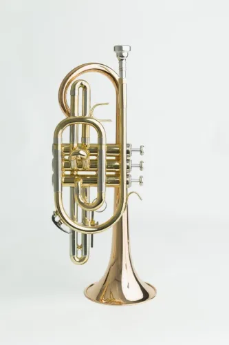 Trompete Cornet Harlem Sound Sib Htc-23lng Pistos Inox