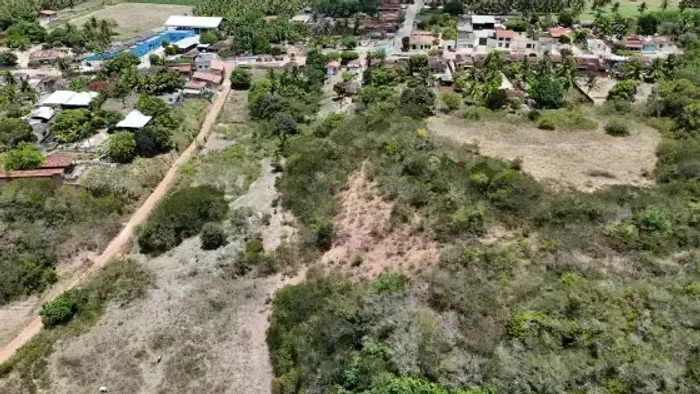 Excelente granja com 15 hectares no centro do arena município de São José do Mipibu