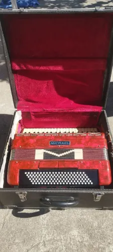 Acordeon 120 baixo 5500 fone 41- *