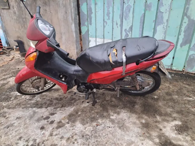 Blz 100 2013