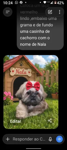 Linda Fêmea de Shitzu filhote