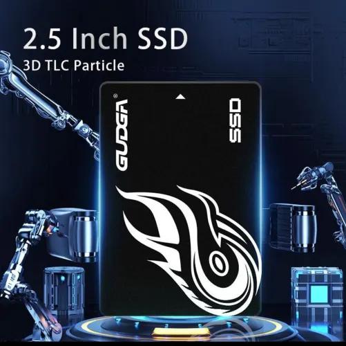 SSD GUDGA GS-256GB